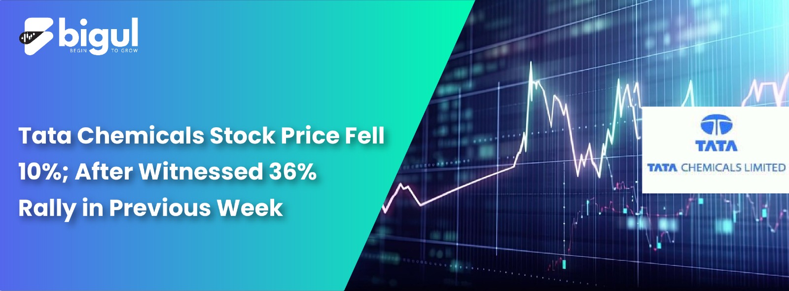 TATA Chemicals Stock Price Fell 10%; After witnessed 36% rally in previous week